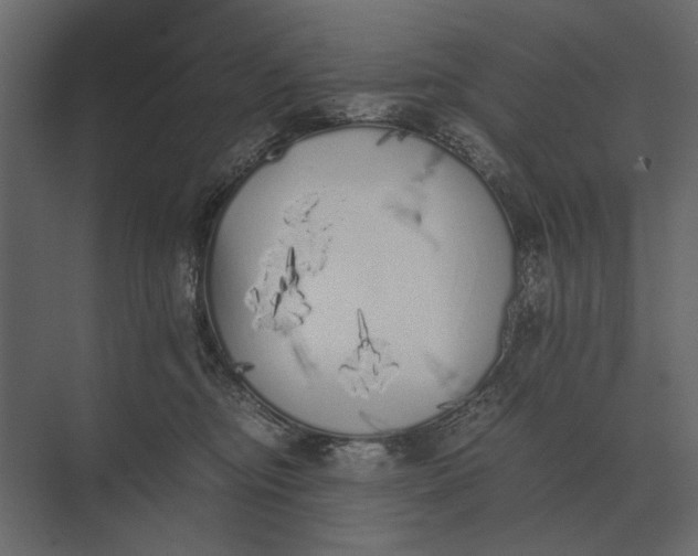 X0000073450374200608181245