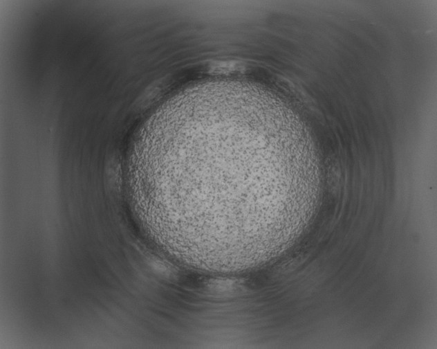 X0000073450375200608181245