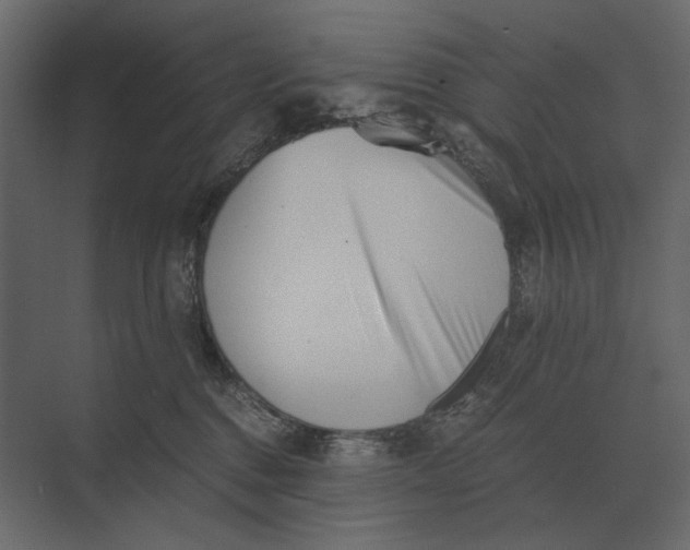 X0000073450376200608181245