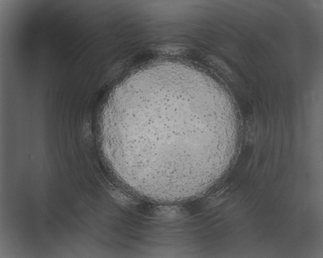 X0000073450377200608181245