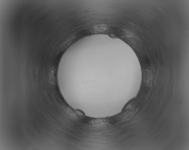 X0000073450378200608181245