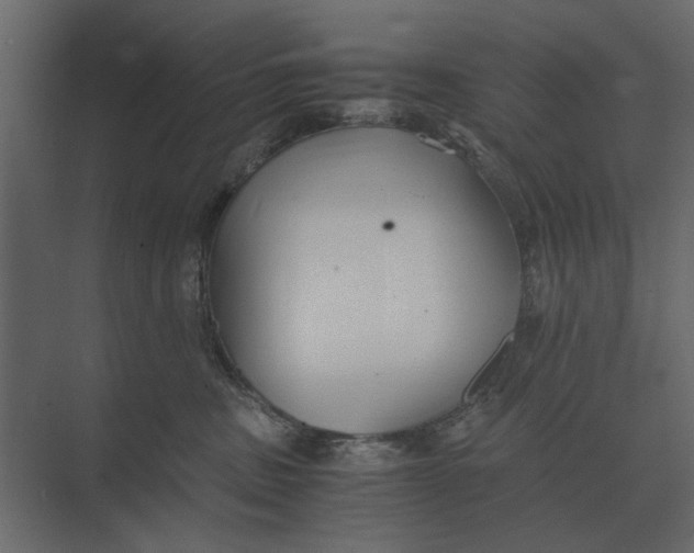 X0000073450379200608181245