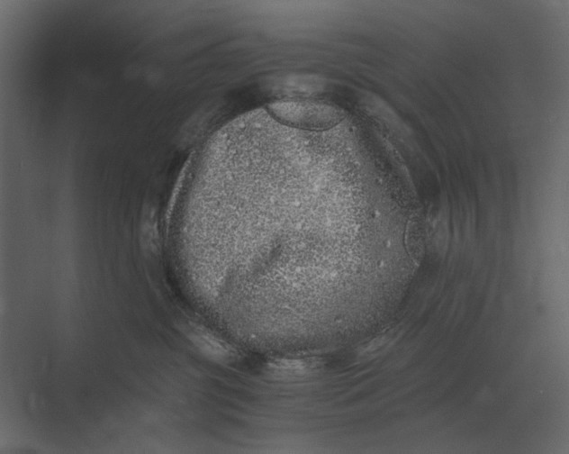 X0000073450381200608181245