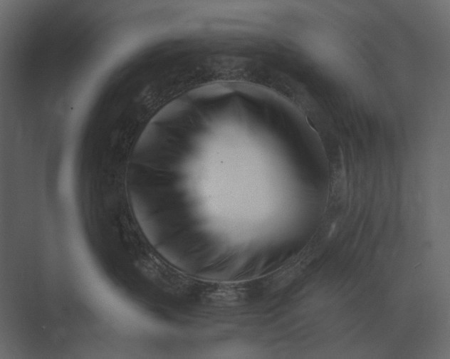 X0000073450383200608181245