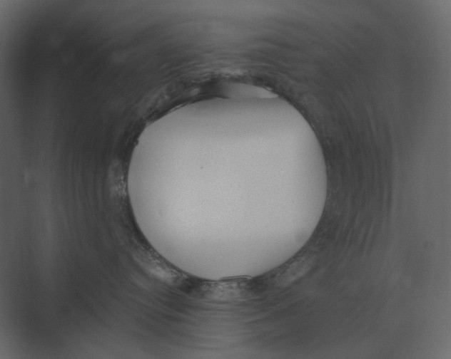 X0000073450384200608181245