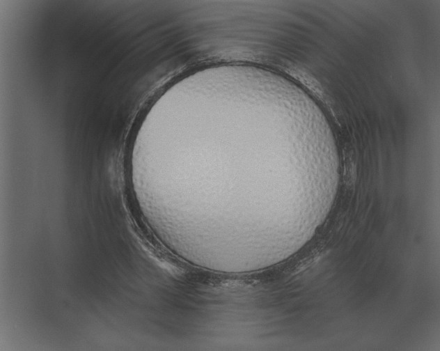 X0000073450390200608181244