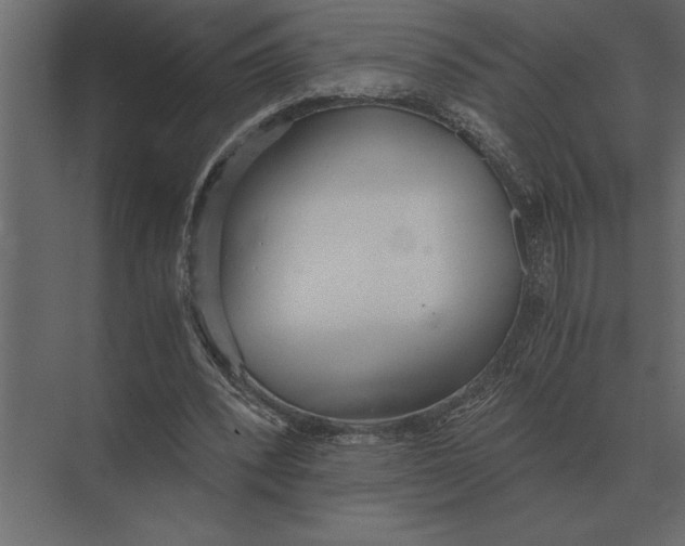 X0000073450392200608181244