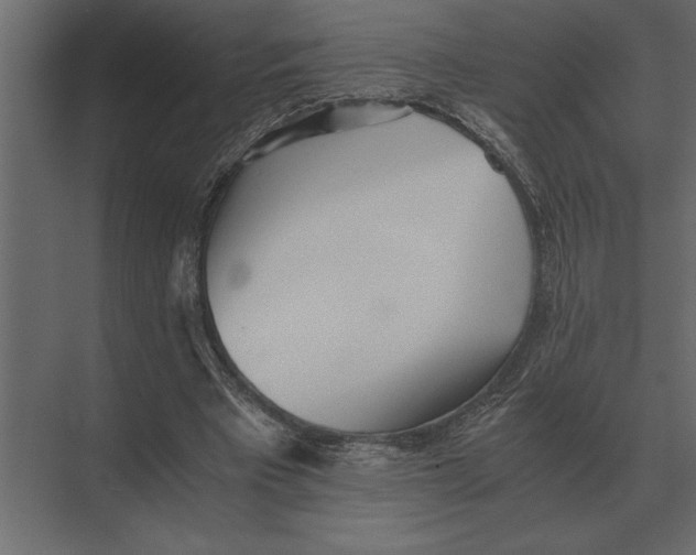 X0000073450393200608181244