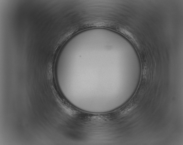 X0000073450394200608181244