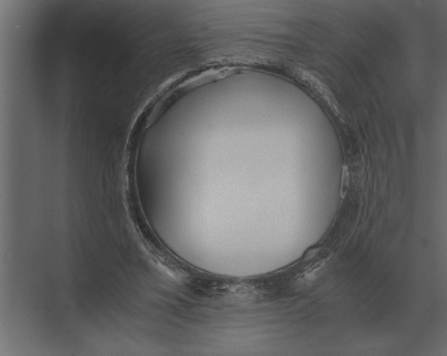 X0000073450395200608181244