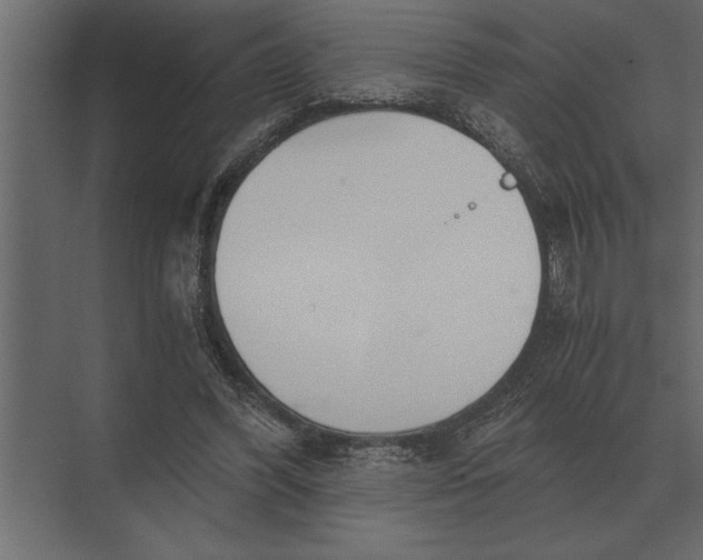 X0000073450396200608181244