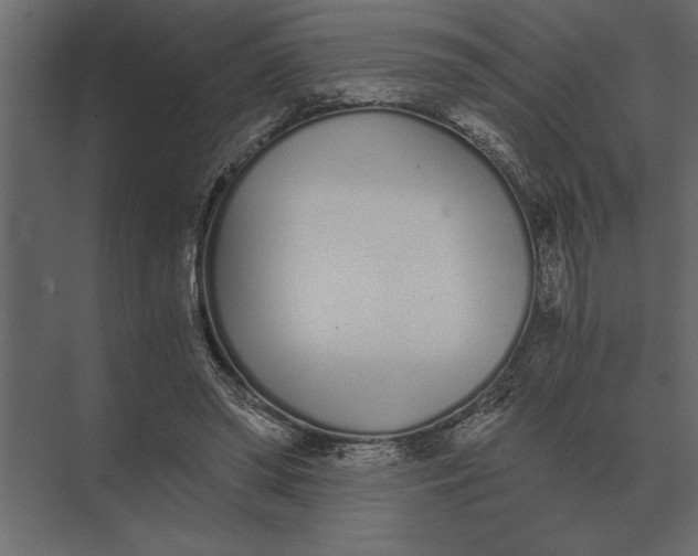 X0000073450398200608181244