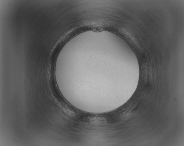 X0000073450400200608181244