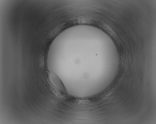 X0000073450401200608181244