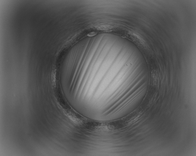 X0000073450404200608181244