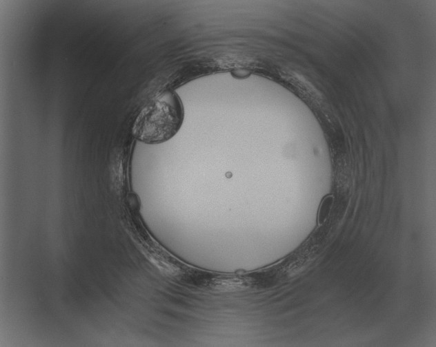 X0000073450405200608181244