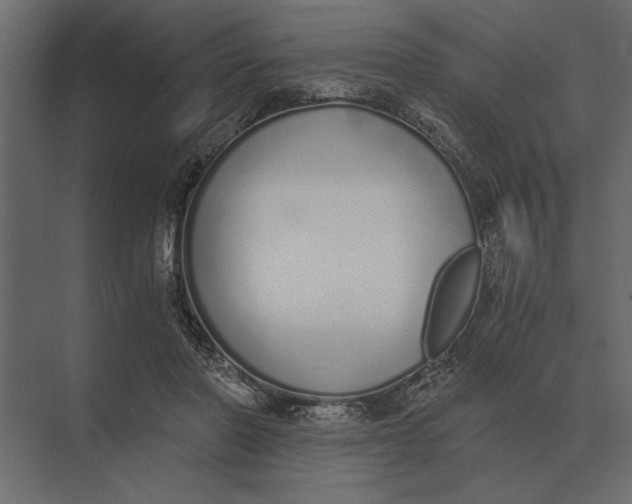 X0000073450406200608181244