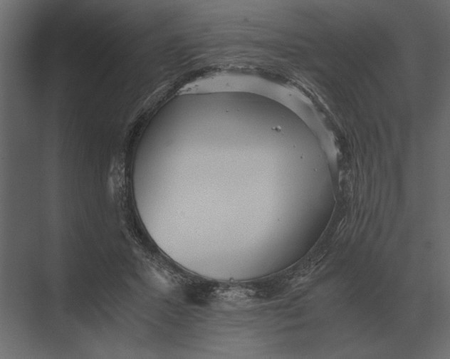 X0000073450407200608181244