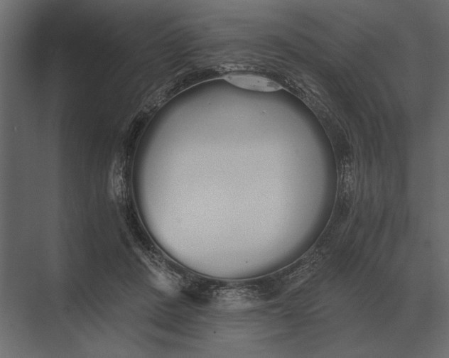 X0000073450408200608181244