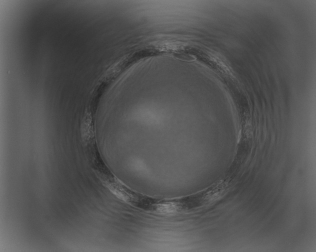 X0000073450411200608181244