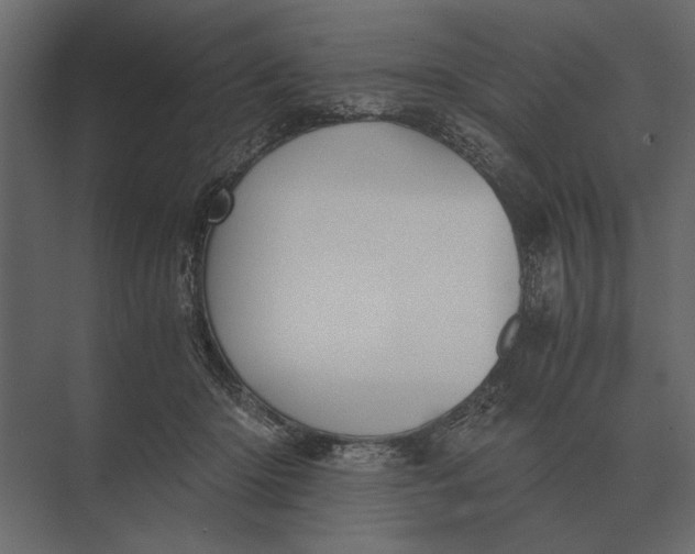 X0000073450414200608181244