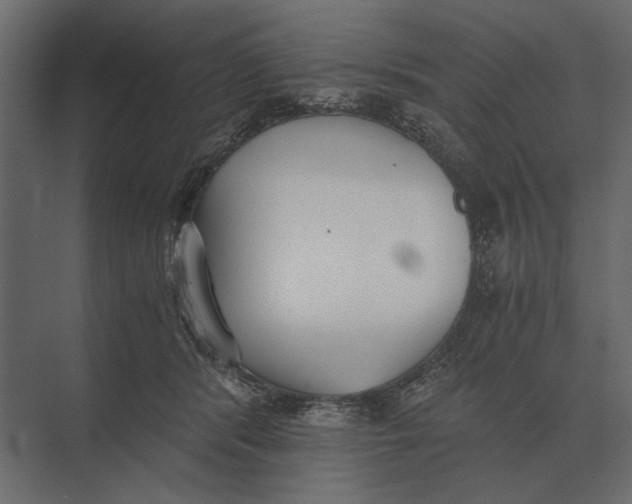 X0000073450416200608181244