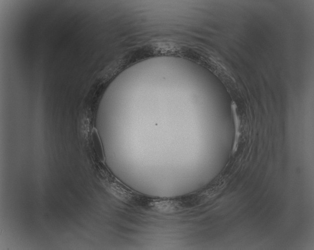 X0000073450417200608181244