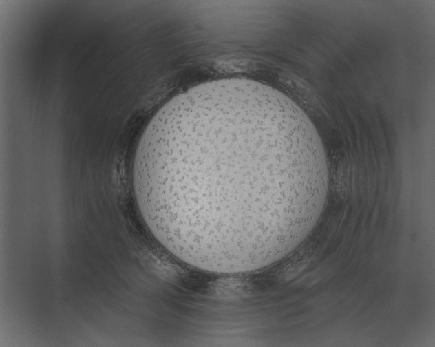 X0000073450418200608181244