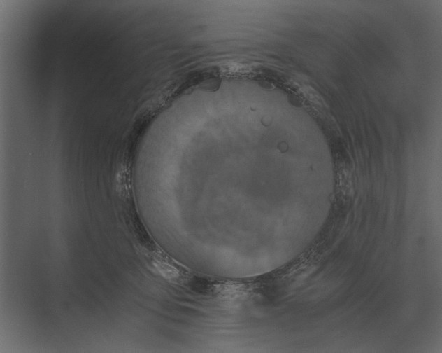 X0000073450419200608181244