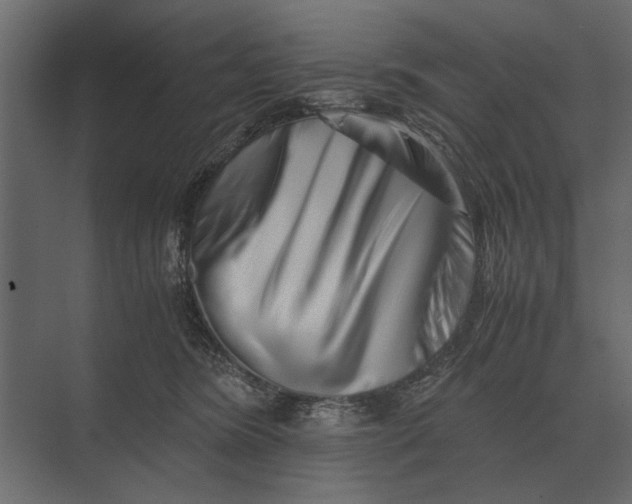 X0000073450420200608181244