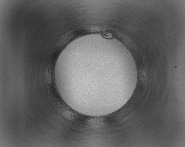 X0000073450422200608181243