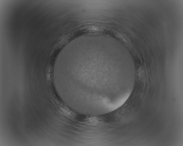 X0000073450423200608181243