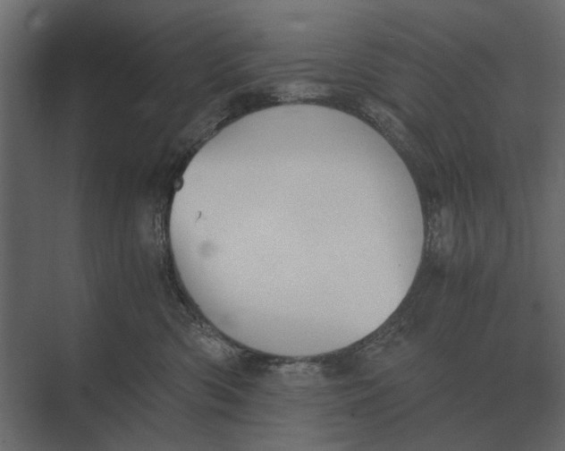 X0000073450426200608181243