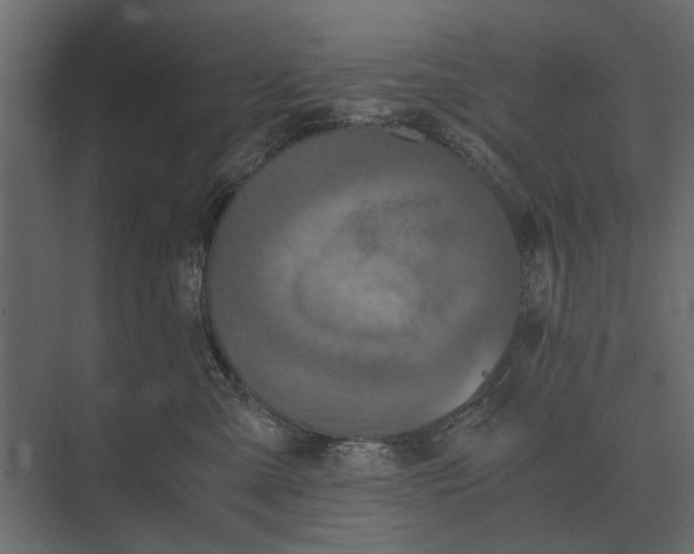 X0000073450427200608181243