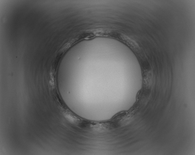 X0000073450430200608181243