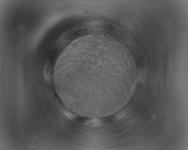 X0000073450431200608181243