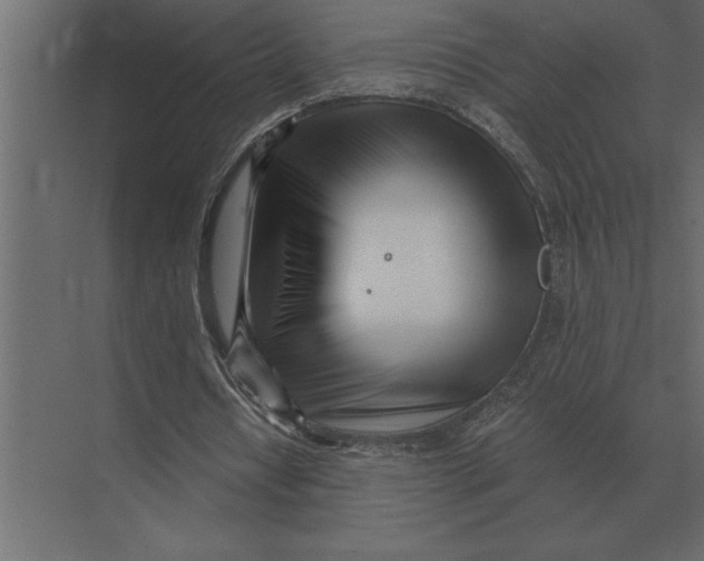 X0000073450434200608181243