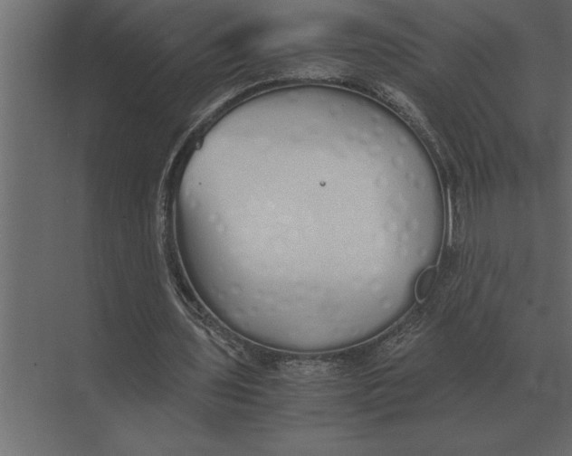 X0000073450435200608181243