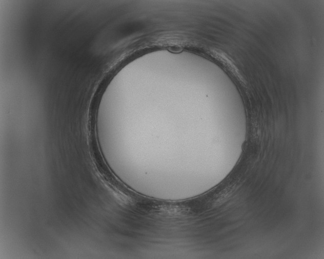 X0000073450439200608181243