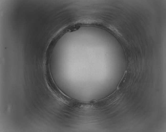 X0000073450440200608181243