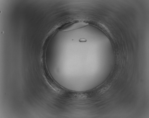 X0000073450443200608181243