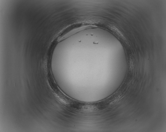 X0000073450444200608181243