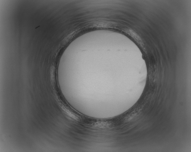 X0000073450445200608181243