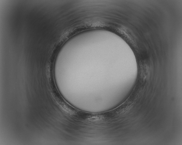 X0000073450447200608181243