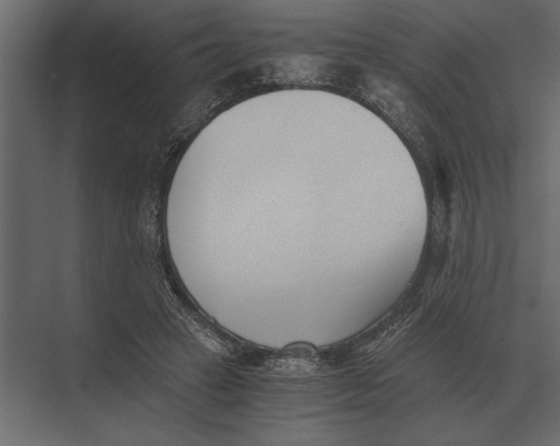 X0000073450449200608181243