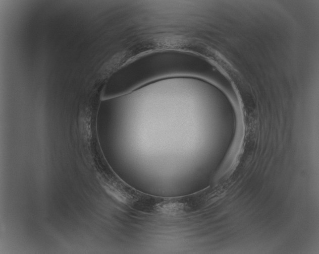 X0000073450452200608181243