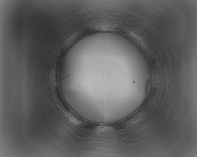 X0000073450453200608181243