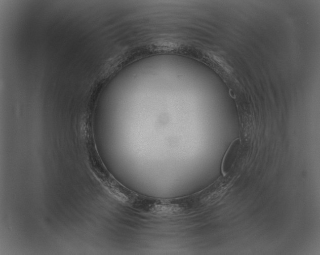 X0000073450455200608181243