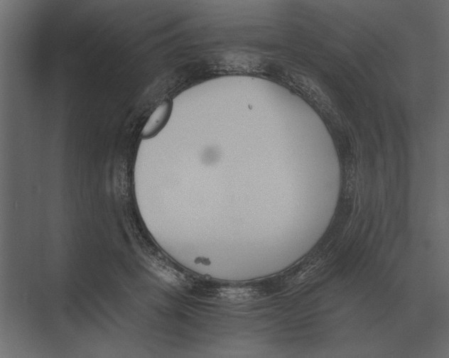 X0000073450457200608181243