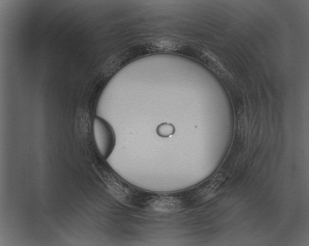 X0000073450459200608181243